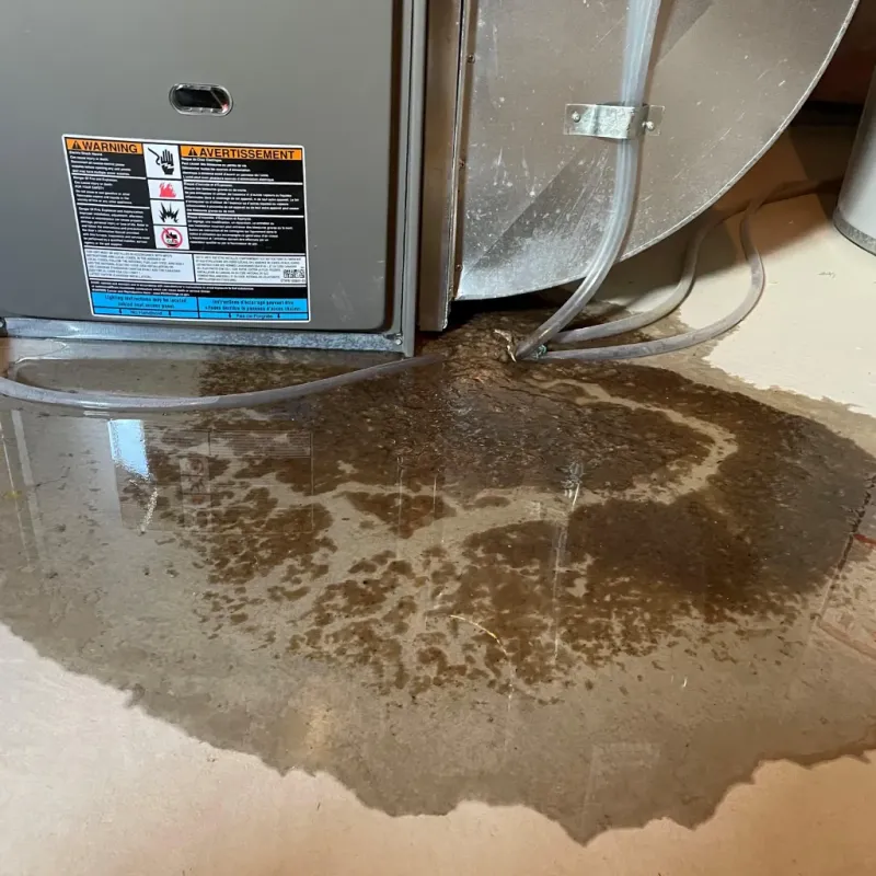 Appliance Leak Cleanup in Willowbrook, CA