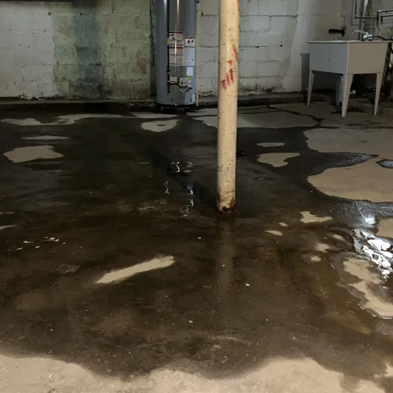 Emergency Water Extraction And Removal in Willowbrook, CA